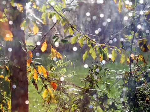 هيلا هيلا يا مطر