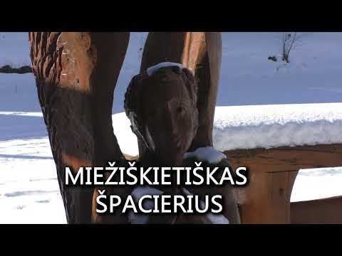 Video: Kurioje kalboje yra daugiausiai tarmių?