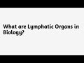 What are Lymphatic Organs in Biology ?