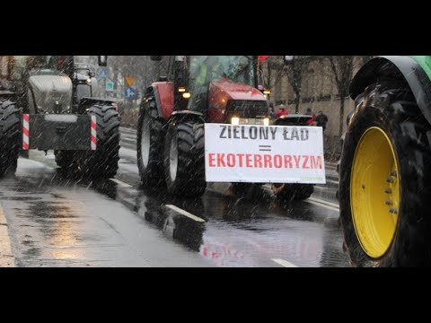 Dempsey & Tune Seeker - Polski Rolnik