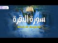 سورة البقره بصوت جميل جدا القران الكريم مباشر     