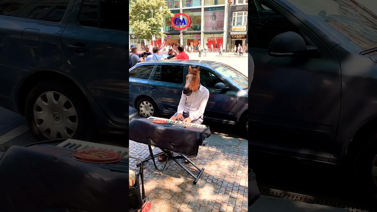 Funny Horse playing the piano 🐴😂