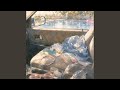 Burnt CDs in the Passenger Door