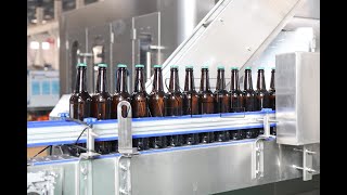 ACE-FILLING BBCGF24-24-8 Glass Bottle Beer Filling Machine