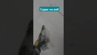 Судак на виб #рыбалка #судак #fishing #щука #охотник