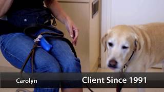 Carmel Mountain Ranch Veterinary Hospital - Short | San Diego, CA
