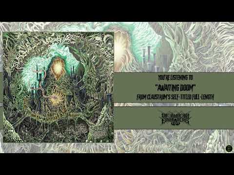 Ω Claustrum -