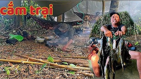  Lạnh Lắm Rồi / Săn Cá Rừng Mùa Gió Lạnh Cùng A E Chiến Hữu Quyết Bắt Hết Cá Mang Về 