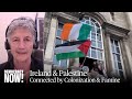 Irish lawmaker recognizing palestine as a state is rooted in our history of colonization  famine