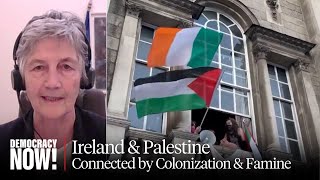 Irish Lawmaker: Recognizing Palestine as a State Is Rooted in Our History of Colonization \& Famine