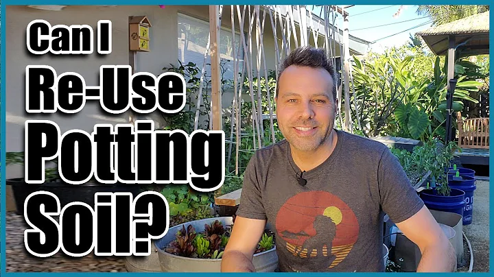 Can I Re-use Old Potting Soil in Containers? // How to Revitalize Old Potting Soil