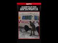 Jammu And Kashmir News | Kulgam Police Push Stranded Ambulance in Snow, Save Patient’s Life