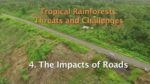 Tropical Rainforests Threats and Challenges Preview
