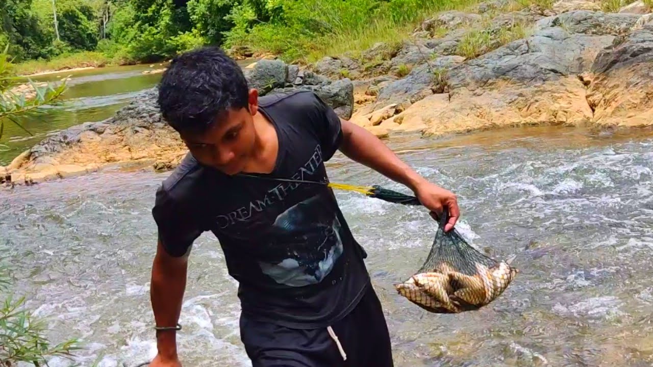 Cari ikan di Sungai Melempar jala ikan Semah || Fishing nets ...