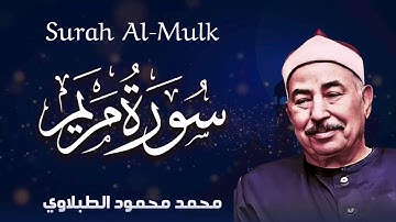 تلاوة مؤثرة تبعث الطمأنينة والهدوء في روحك