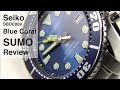 Seiko SBDC069 Blue Coral Sumo Review