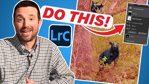 THIS Changed the Way I Edit Wildlife Photos | LIGHTROOM MASKS