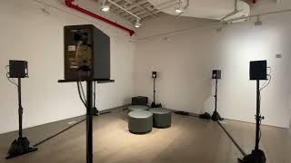 Pablo Sanz : Entangled, 2023 | Pratt Manhattan Gallery