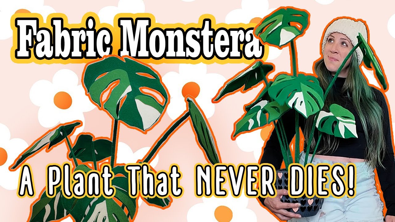 DIY Felt Plant | Easy Fake Monstera | Home Decor | Pinterest Made