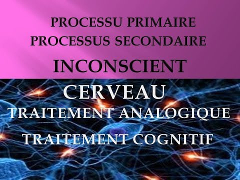 Vidéo: Qu'est-ce Que La Psychosomatique Primaire Et Secondaire ?