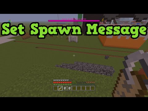 Minecraft Xbox 360 + PS3 - SET SPAWN MESSAGE Name Tag Wither