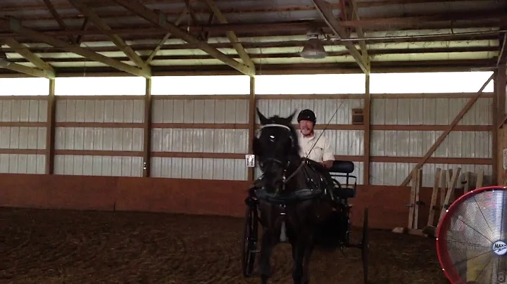 Dale and Royal- Robin Groves lesson on Aug 8, 2018