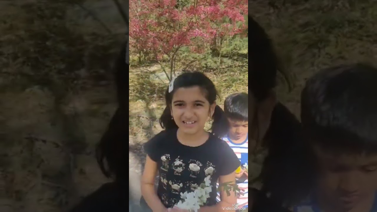 April showers May bring flowers