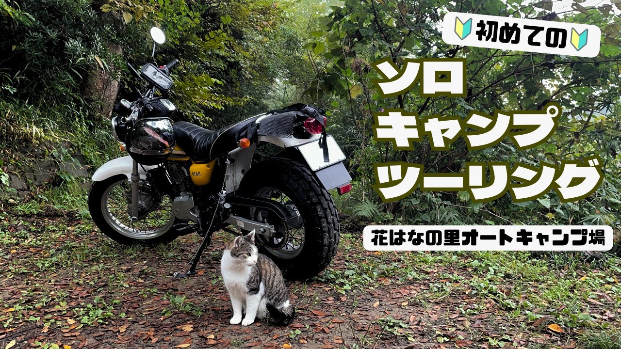 【Vlog】バンバン200で行く！猫に見守られながら初めてのソロキャンプツーリング/花はなの里オートキャンプ場