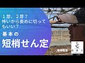 【ぶどうの栽培基礎】＃4　短梢せん定の基礎【ナガノパープル】