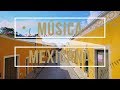 🎙 Tierra Mestiza de Gerardo Támez | Música Mexicana [Mariachi]