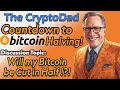 🕒 Countdown to Bitcoin Halving: Google Searches Surge Higher Than Ever! 🔥 CryptoDad's Live Q&amp;A
