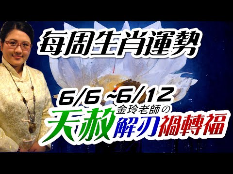 芒種天赦解刃。2022生肖運勢週報｜6/6-6/12｜金玲老師（有字幕）