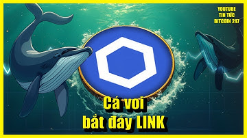 Cá voi tiếp tục bắt đáy khi LINK lao dốc, XRP ETF lập kỷ lục