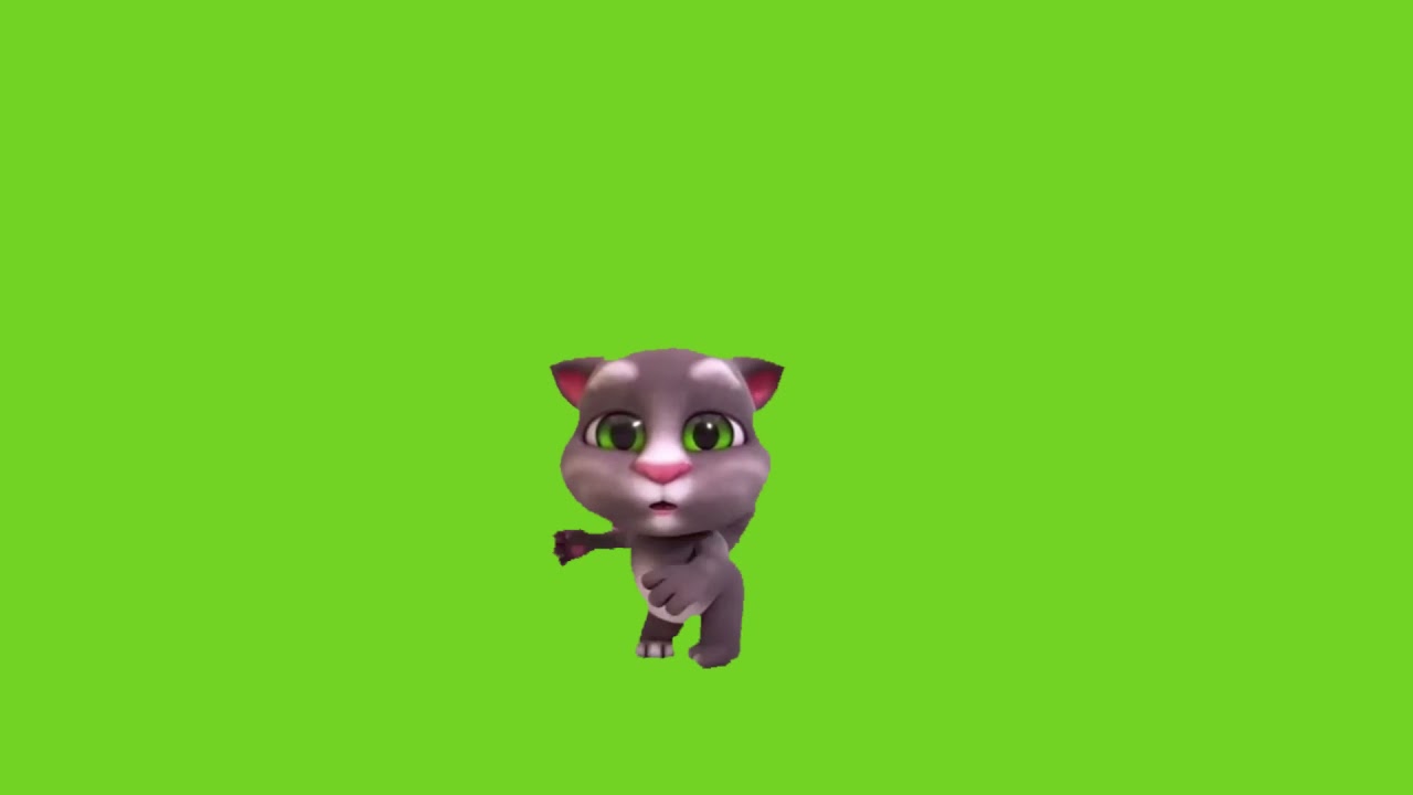 Talking Tom Green Screen - Con Meo Nhay Nhac - YouTube