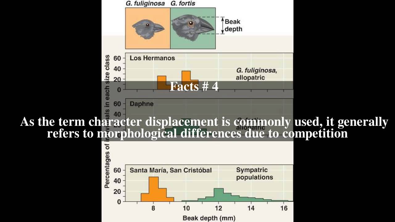 Character displacement Top # 6 Facts