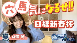 競馬予想【日経新春杯2022】父は年度代表馬エフフォーリアの調教師『鹿戸雄一』！成瀬琴が推す年明け注目の1戦穴馬3頭！