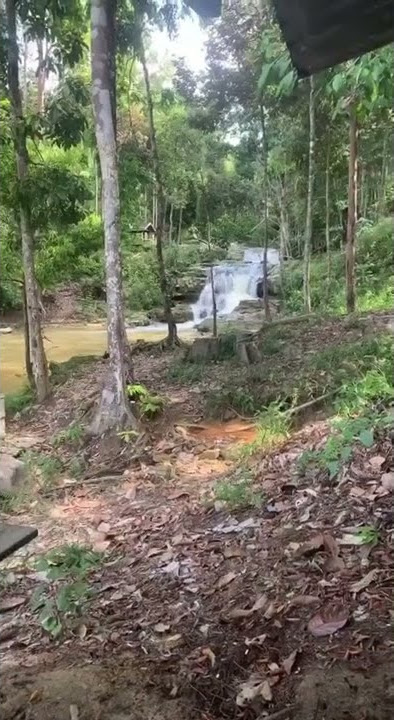 Tempat nya adem ayem#video #short
