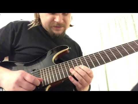 Janne Vaatamoinen's guitar