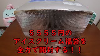 【福袋開封】5555円のアイスクリーム福袋を開封する！！