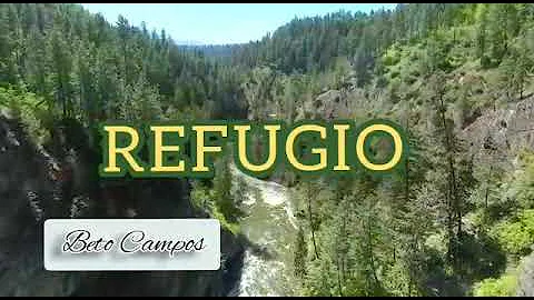 REFUGIO - Beto Campos