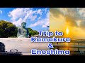 Easy Day Trip from Kamakura & Enoshima鎌倉 と江ノ島Japan Amma