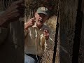 How to CORRECTLY Shoot a Rifle