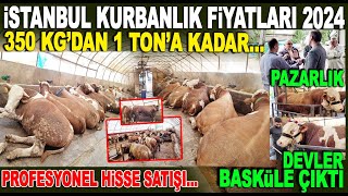 İstanbul'daki bu çiftlikte her bütçeye uygun kurbanlık var / Kurbanlık Fiyatları 2024 / Hisse Satışı