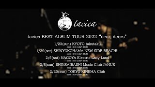 tacica 『dear, deer』 (Live Video)