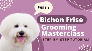 How to groom a Bichon Frise: Part 1 | The Dog House Pet Salon