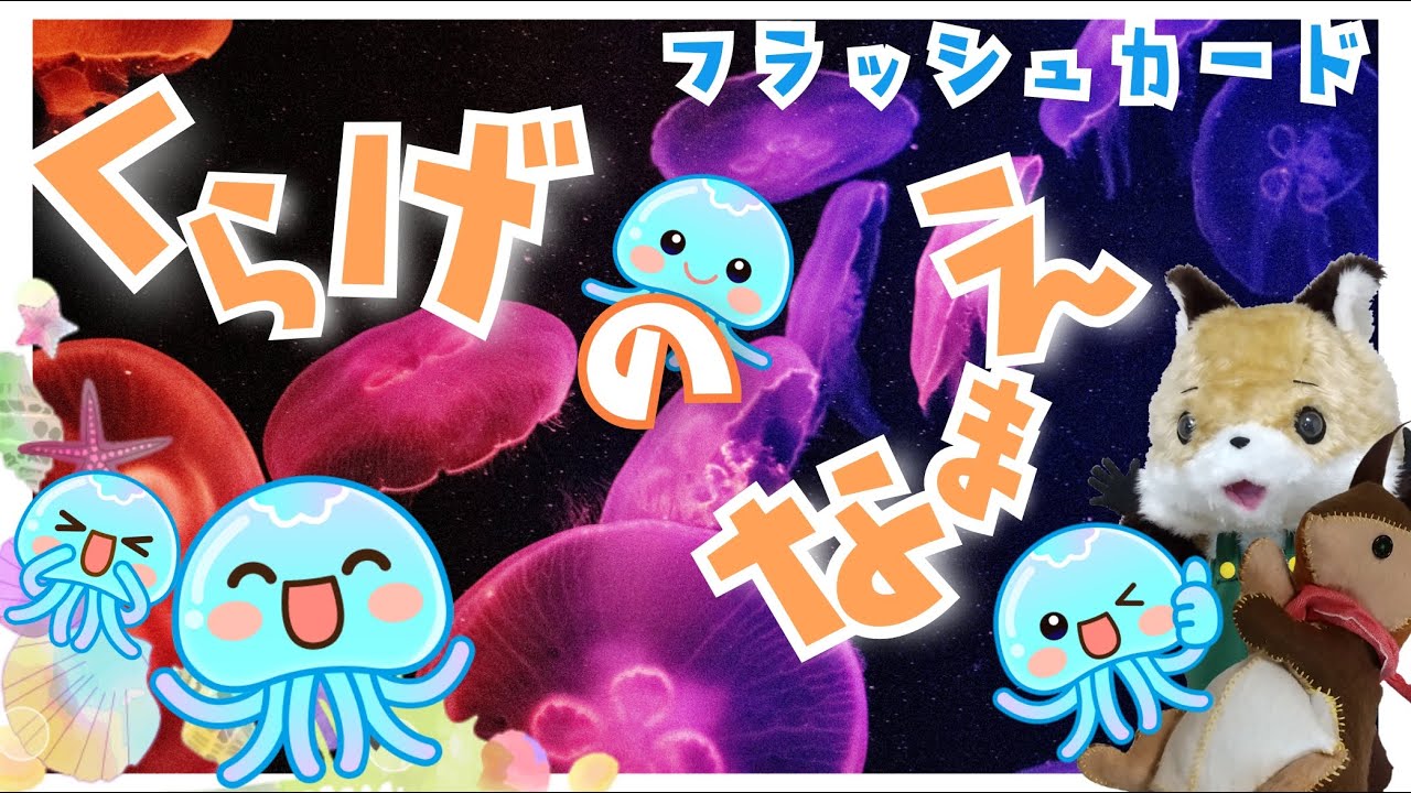 フラッシュカード】くらげの なまえ - YouTube