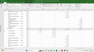 Resource Usage Report in MS Project