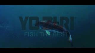 All New Mag Popper Carter Andrews