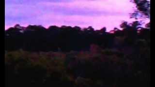 Sasquatch Eyeshine in Florida (stabilized) - YouTube.flv