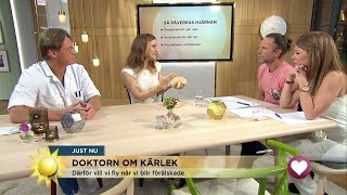 Hjärnforskaren: "Därför går förälskelsen över" - Nyhetsmorgon (TV4)